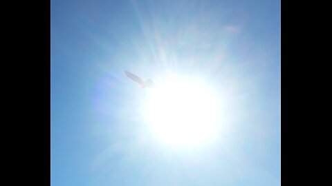 🦅 Regulate - Warren G + Nate Dogg 🦅