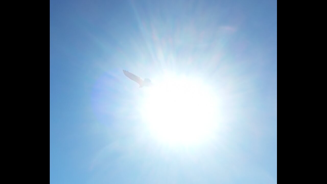 🦅 Regulate - Warren G + Nate Dogg 🦅