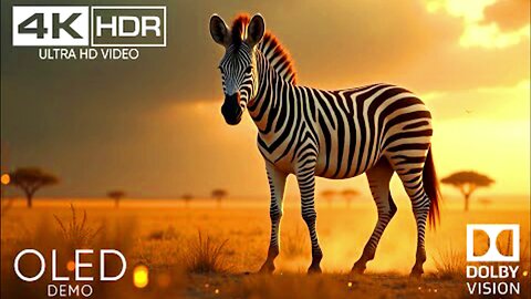 World's Most Epic Peaceful 4K Video HDR 120FPS Dolby Vision - Relaxing Music for Stress Relief