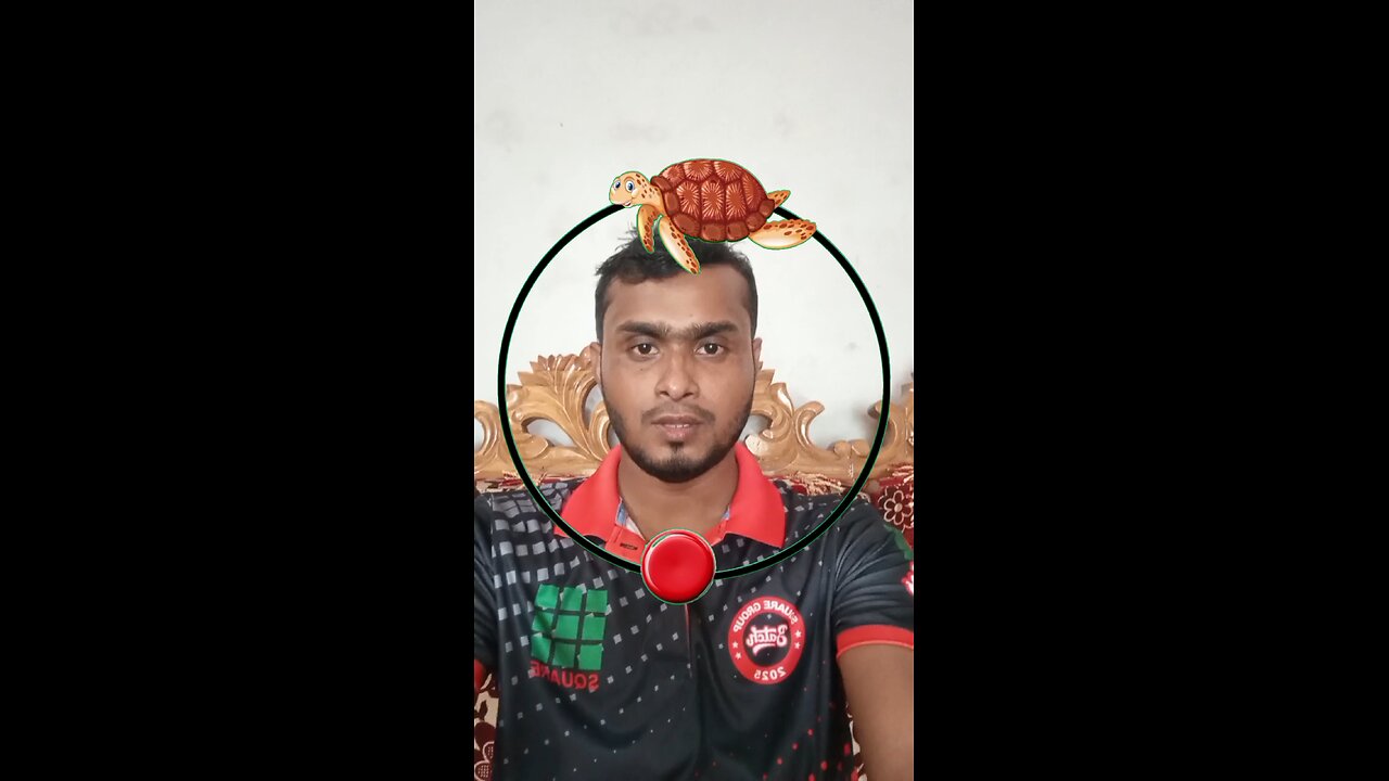 কচ্ছপটি সঠিক জায়গায় বসান #reelsvideoシ #puzzle #Amazing #saggestforyou #foryouシ #tending