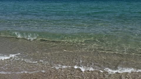 Efectos Sobre la Salud de los Aceites y Vinagres Dietéticos