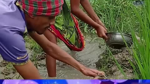গ্রামের কৃষকদের নতুন পানি সেচ পদ্ধতি 🔥 | নতুন আবিষ্কার! | Water Irrigation Innovation #shorts