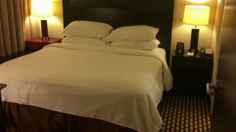 Hotel Review #010 - Embassy Suites Jackson North / Ridgeland, Mississippi