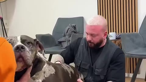 DOG MASSAGE 💆 🐶