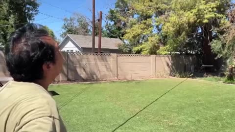 Mesa homeowner having neighbor's tree removed to prevent possible fall