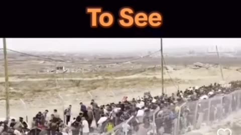 Final solution? Where have I heard that before