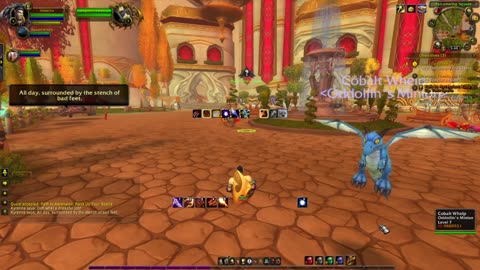 Vsojo Looking for the Bear Necessities of Project Ascension WoW