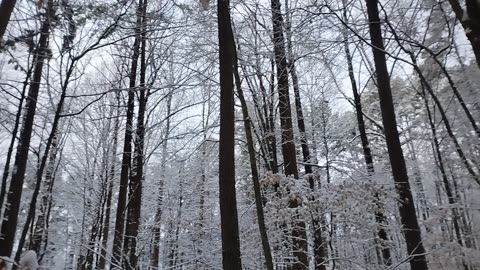 Winter ☃️❄️ weather overnight Viewers