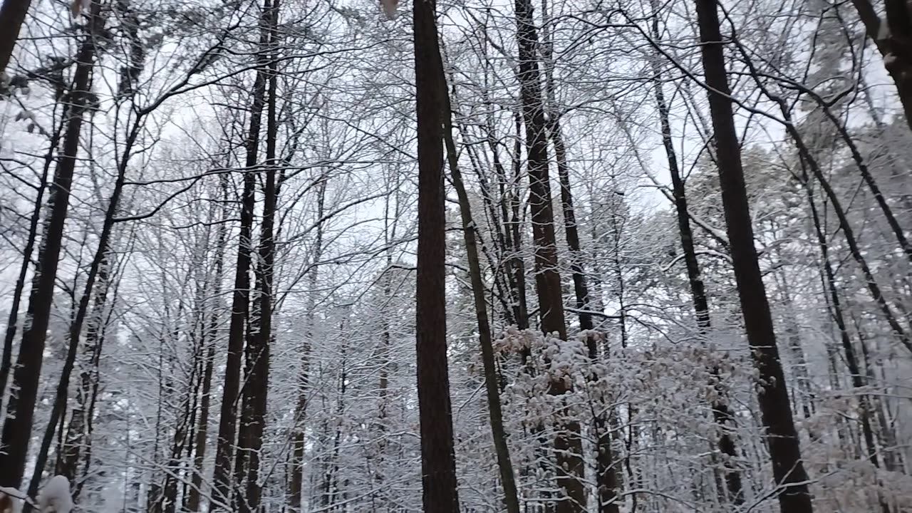 Winter ☃️❄️ weather overnight Viewers