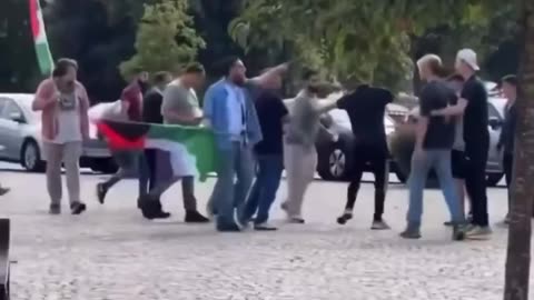Migrants Attack Swedish People