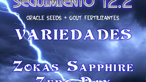 Seguimiento 12.2 (Capitulo 4º)