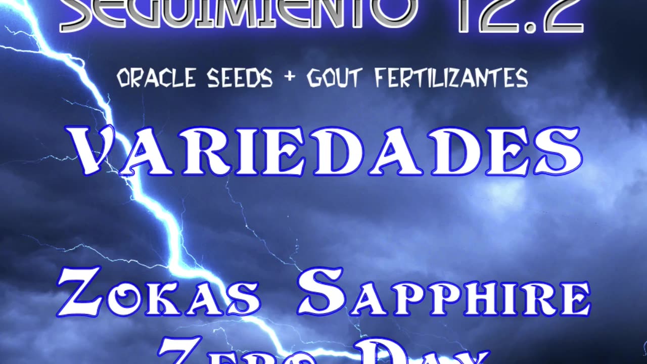 Seguimiento 12.2 (Capitulo 4º)