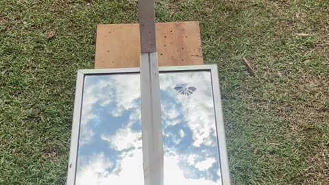 The afternoon Sun radiating Absolute Light. Again. As it always does. Always.