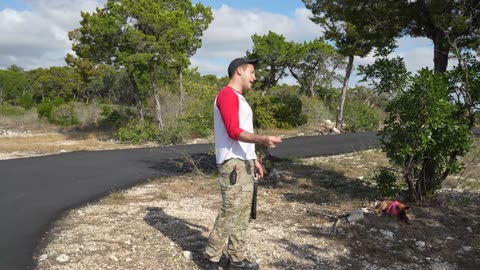 I Train My Belgian Malinois Puppy