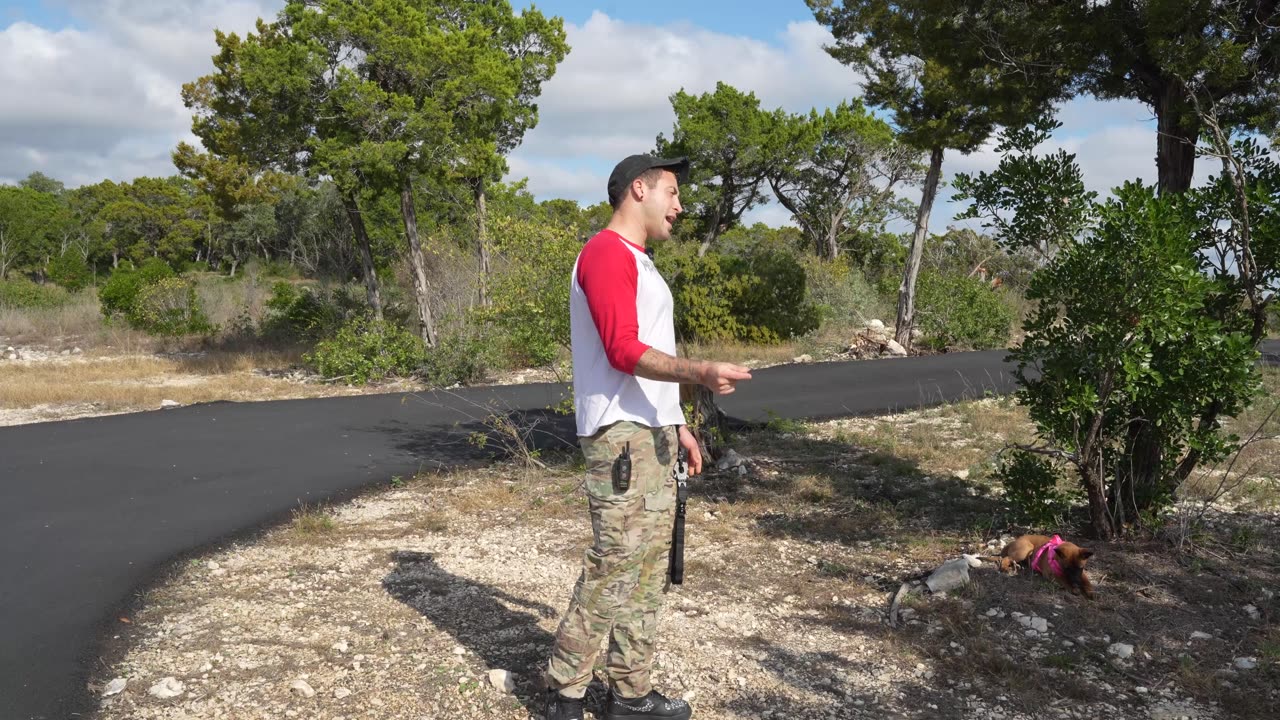 I Train My Belgian Malinois Puppy