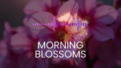 Morning blossom