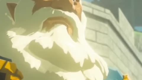 Zelda personifies humble leadership