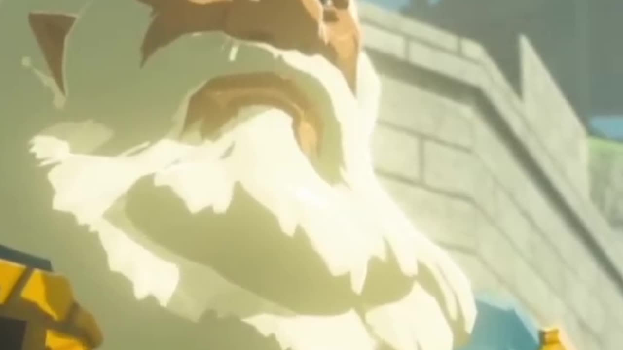 Zelda personifies humble leadership