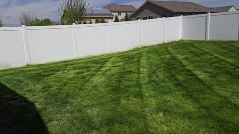 Clean It Up Or We Are Going To FINE YOU_part9