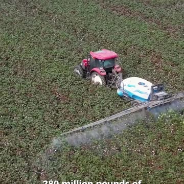 $611M lawsuit against Bayer pharmaceutical!