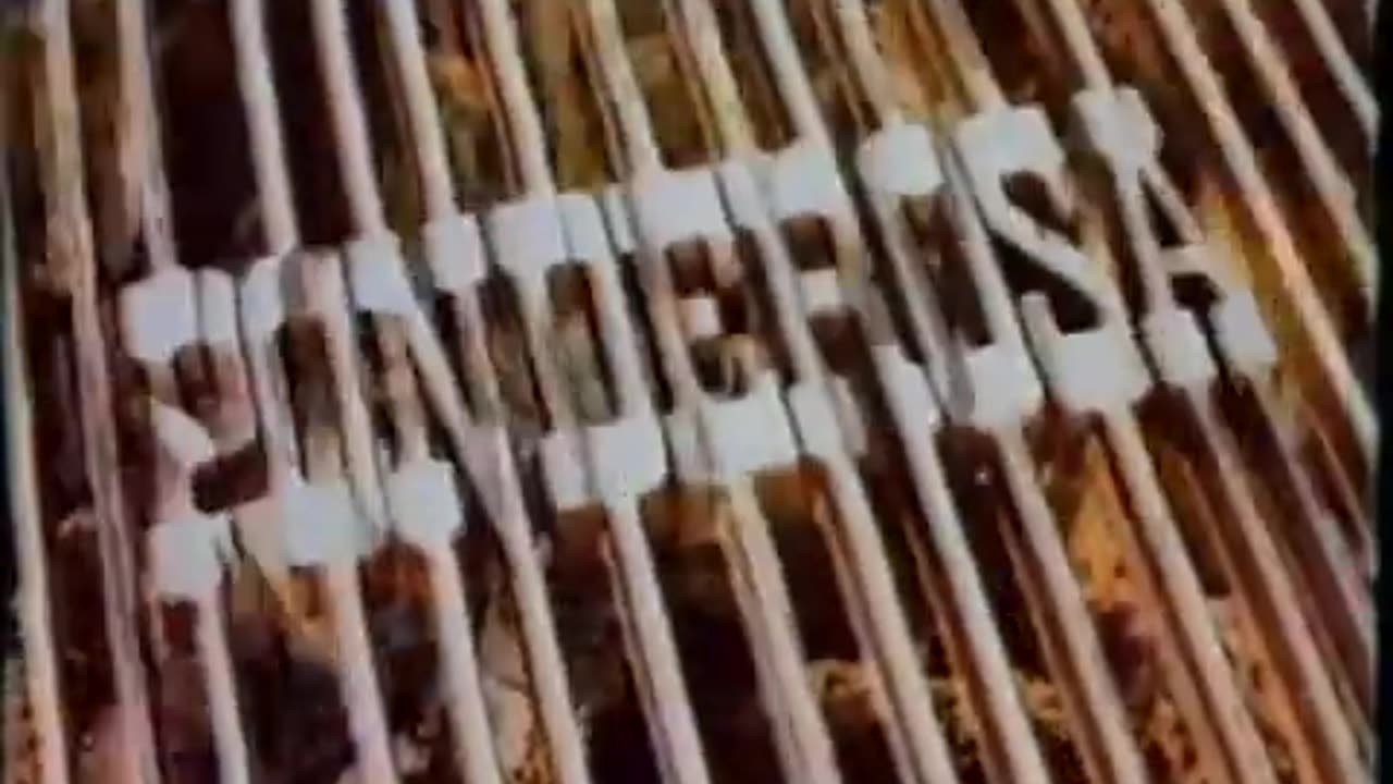 August 22, 1982 - A Night Out at Ponderosa Steakhouse