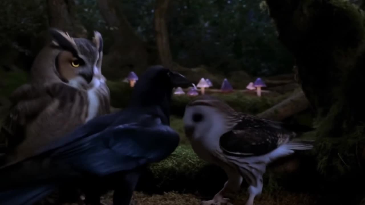 Midnight Rave: Two Owls and a Raven Go Wild!