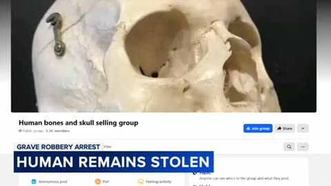 Cops Find Over 100 Skeletons Inside Pennsylvania Man's Home