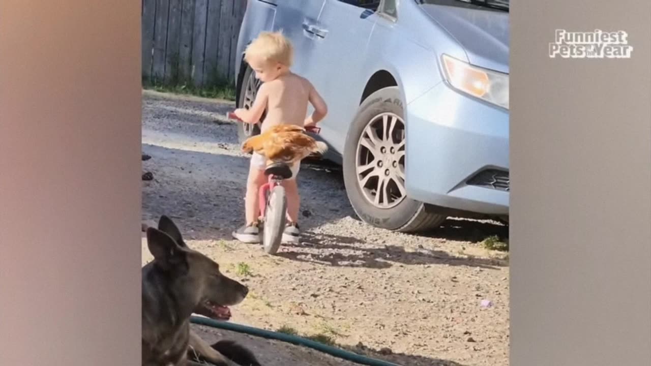 Animal Cuteness | 1