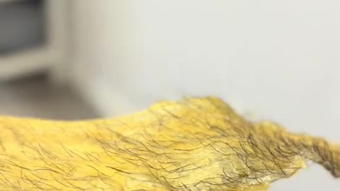 Sexy Smooth Golden Allure Hard Wax Demo | Wax Strip Results by @ednaruiznybe