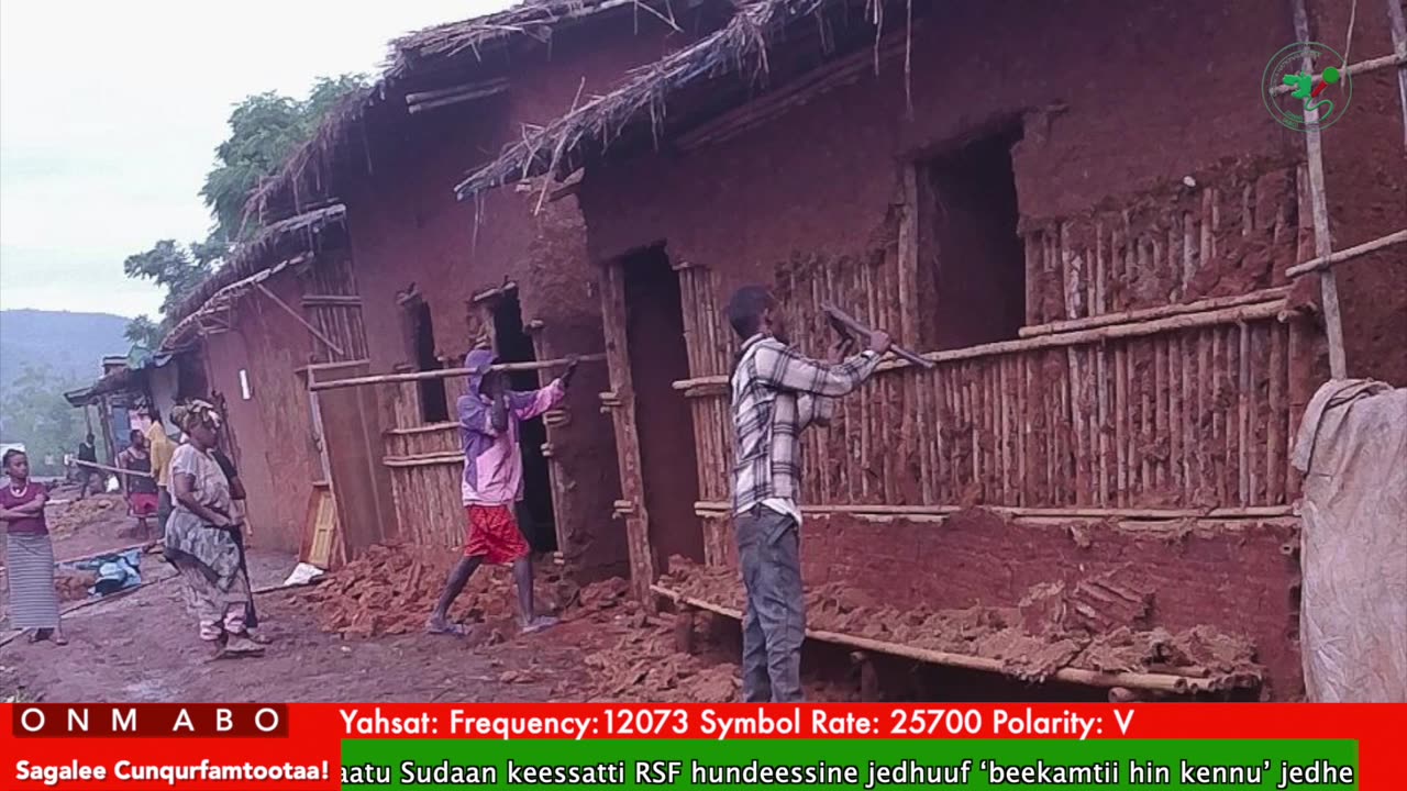 Oduu Ganama ONM-ABO Adoolessa 31-2025 itti dhiyaadhaa!