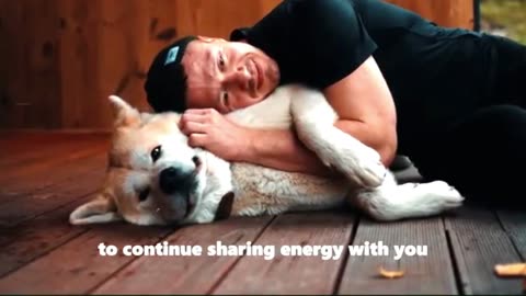 What Happens to the Souls of Dogs in the First Days After Death?