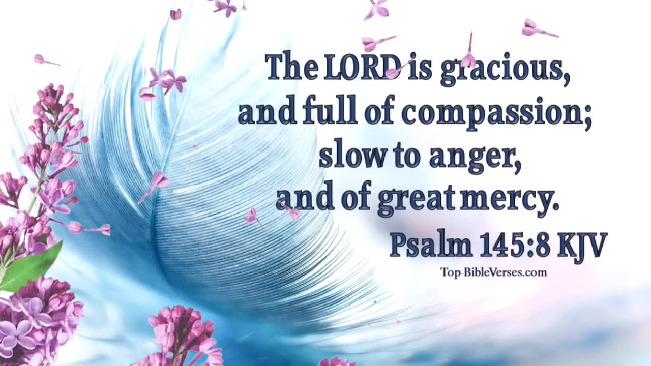 THE PATIENCE OF GOD - DAILY DEVOTIONAL ❤️