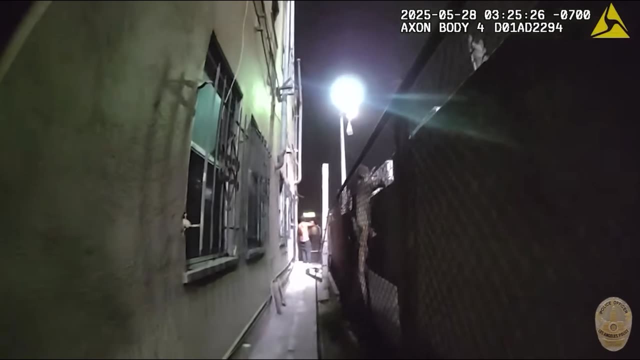 Black Man Wearing a Dress Tries to Rob a Taqueria in LA