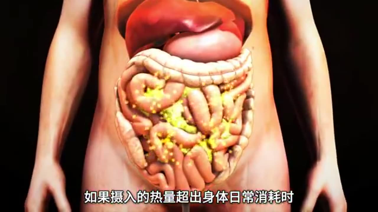 如何减掉最难减的腹部脂肪