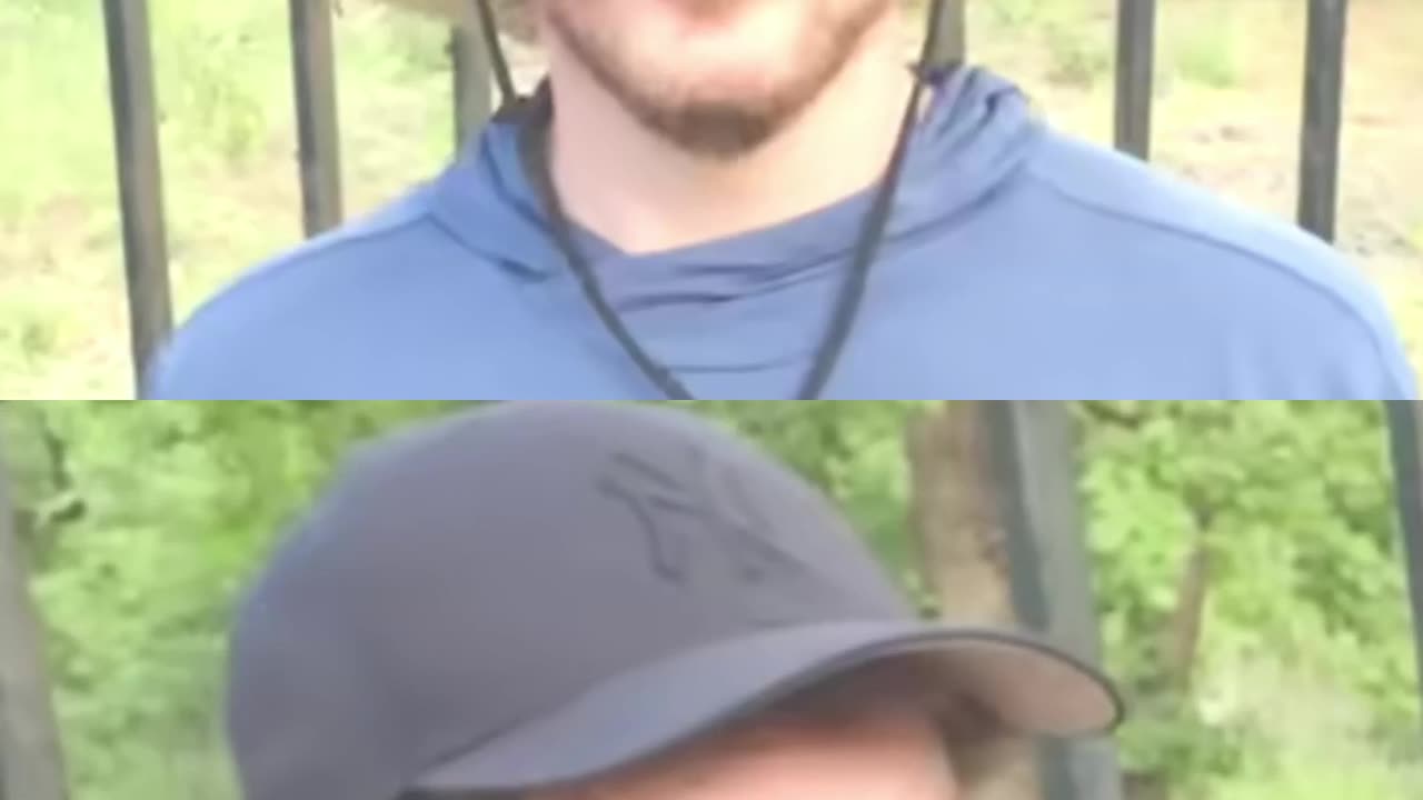 Swimming with Sharks in a Cage: The Ultimate Safari Thrill