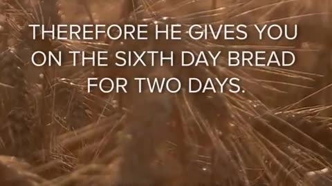 Happy Sabbath