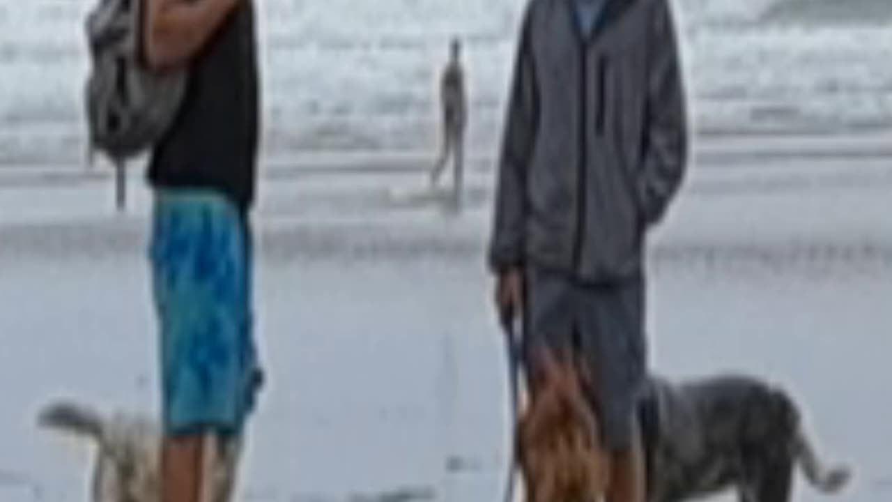 Do you think that's a real dog?
