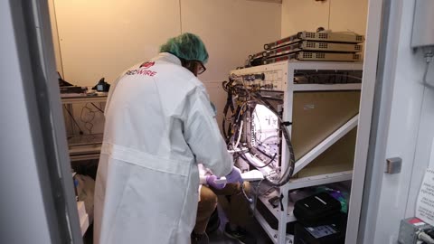 Nasa plant experiment