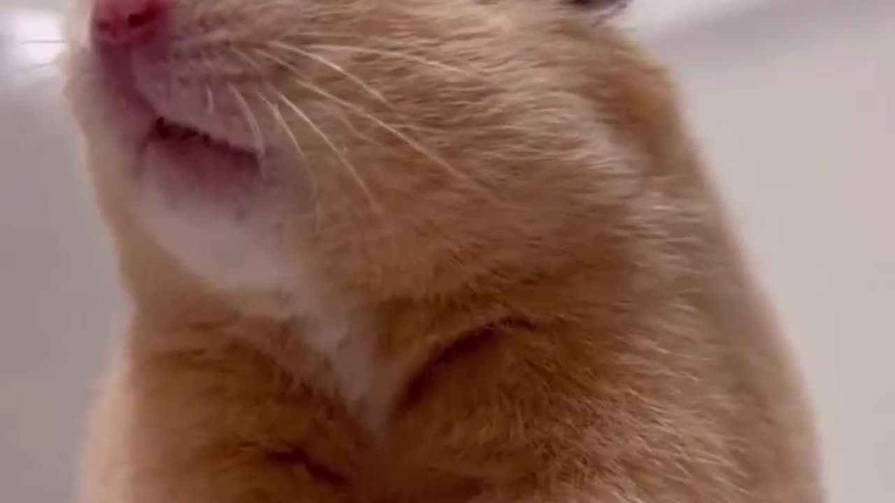 Surprise face on the way, he's cute and expressive 😋💛