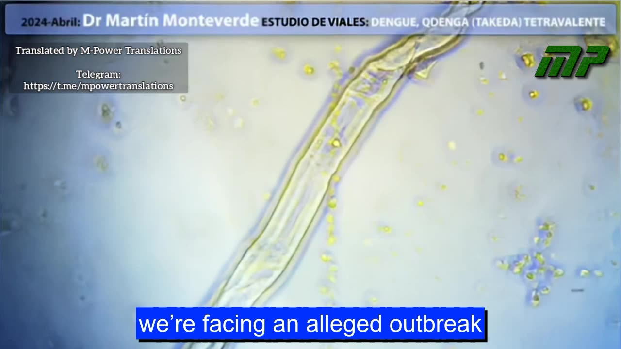 Interview on the Argentinian radio program "Entre Ríos" with Dr. Martín Monteverde,