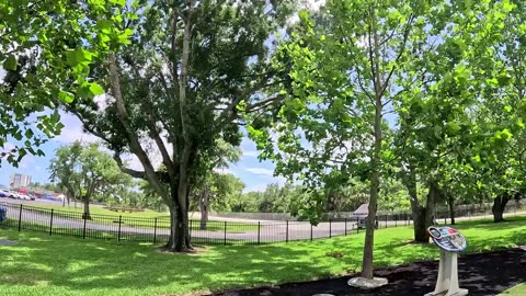 Apollo Garden