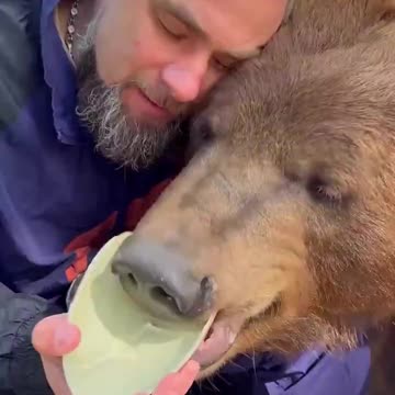 Russian Dogs Are the Best