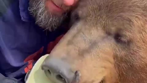 Russian Dogs Are the Best