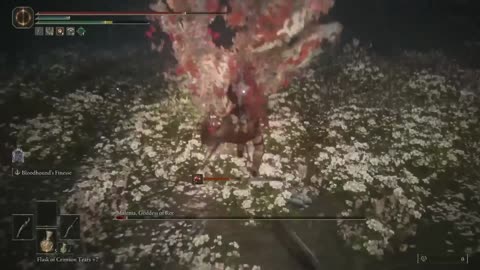 Top 10 Hardest Elden Ring Bosses, Ranked-PKvrCbFeYc4-299+140-1920x1080-