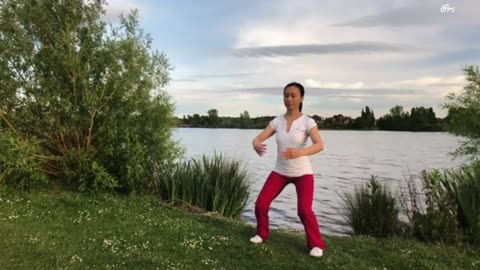 Eight Brocades Qigong Practice.