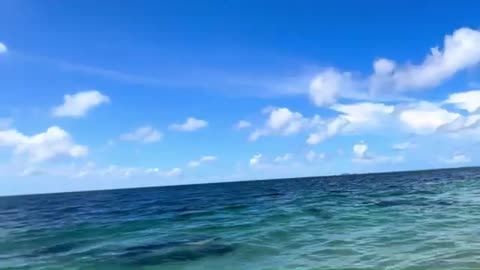 Sea Relaxing Music Nature Relaxation Film 4K Video Cinematic Sea Naturel Great Relaxing Music