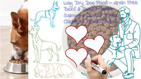 Amazon Brand - Wag Dry Dog Food , Grain Free 24 lbs. Bag