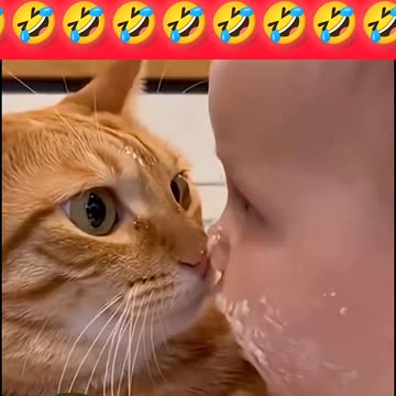 Funny Baby & Cat Video🤭😂🤣