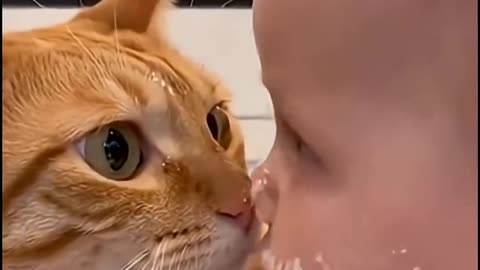 Funny Baby & Cat Video🤭😂🤣