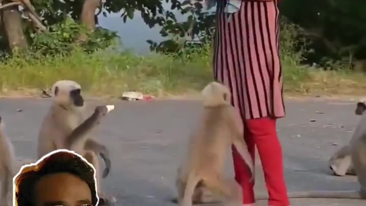 She Won Our Respect Guys...!!